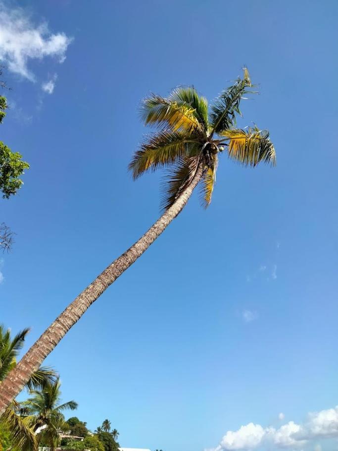 Villa Nautilia, Vue Mer, Proche Plage Les Trois-Ilets Exteriér fotografie